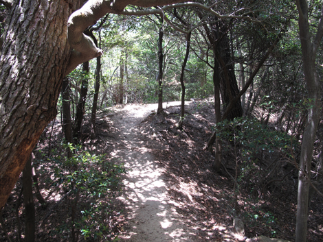 20140602hike (139)